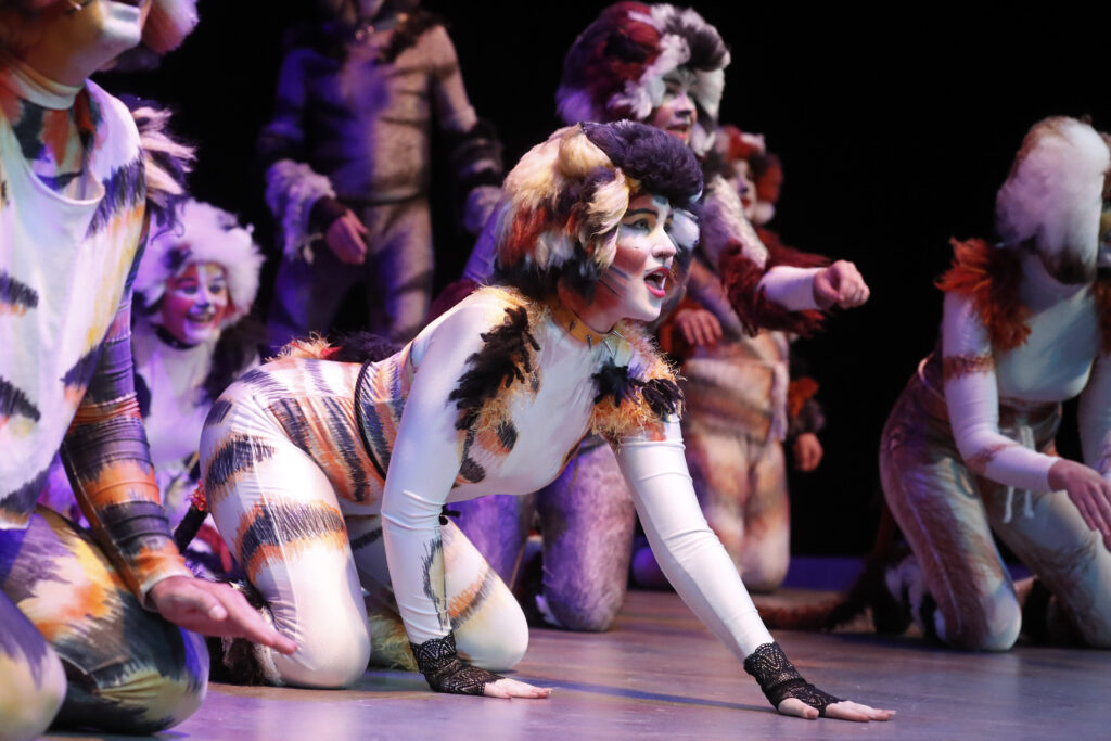 kearney community theatre cats musical