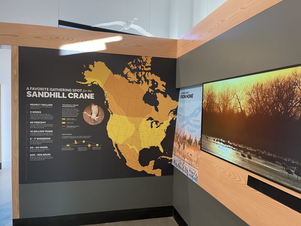 Map of North America showing migration route of cranes. 