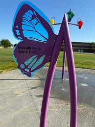 blue and purple butterfly wing by water bucket at splash pad.