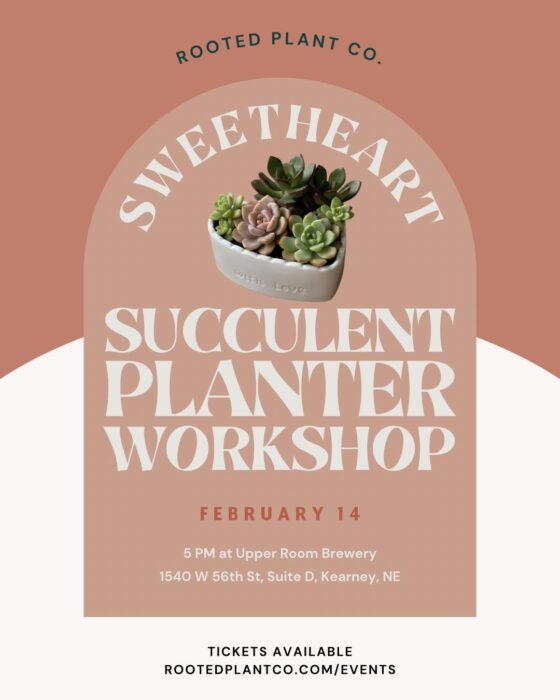 Sweetheart Succulent Planter Workshop - Visit Kearney Nebraska